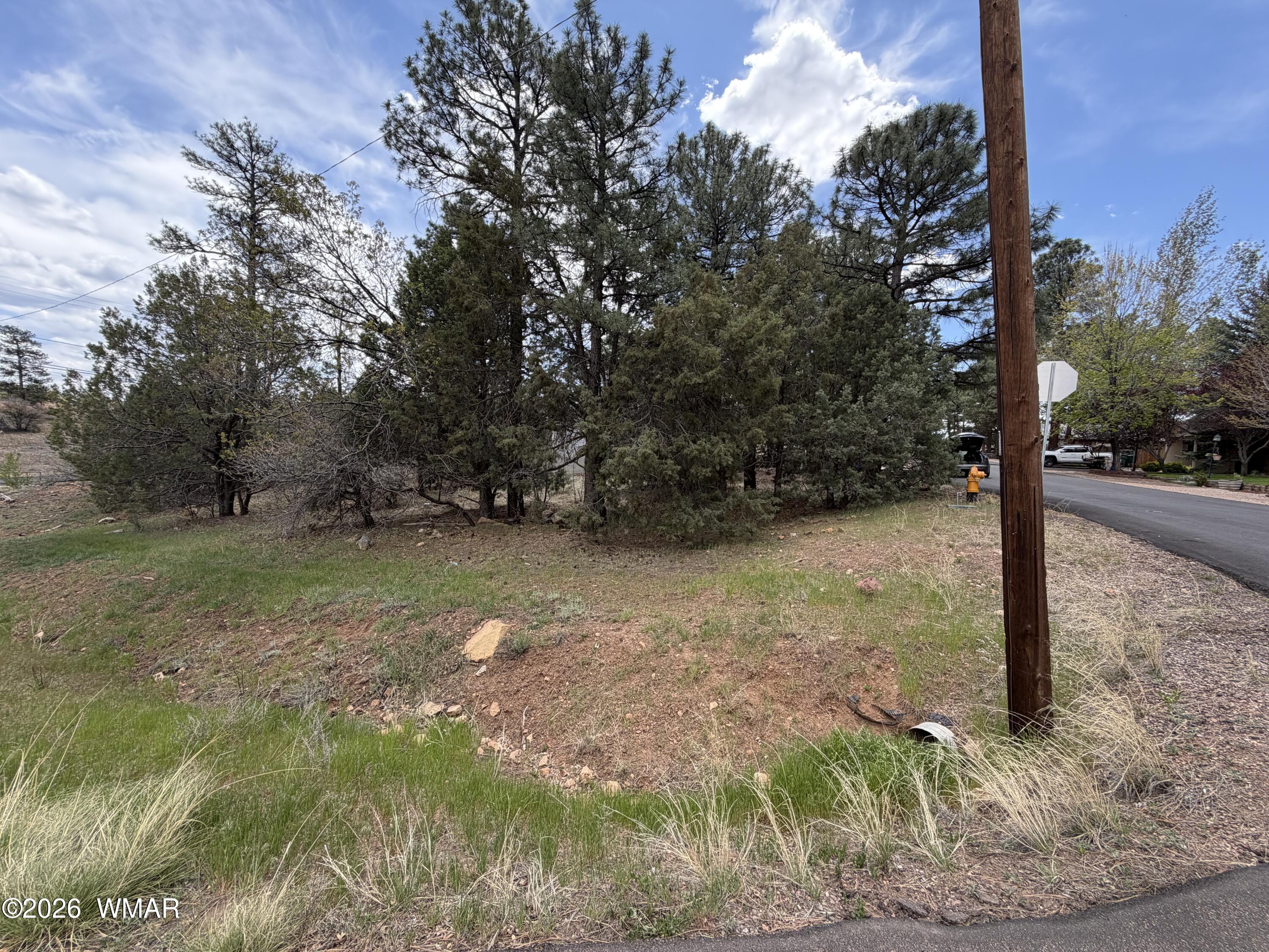 261 S 1st Drive, Show Low, AZ 85901
