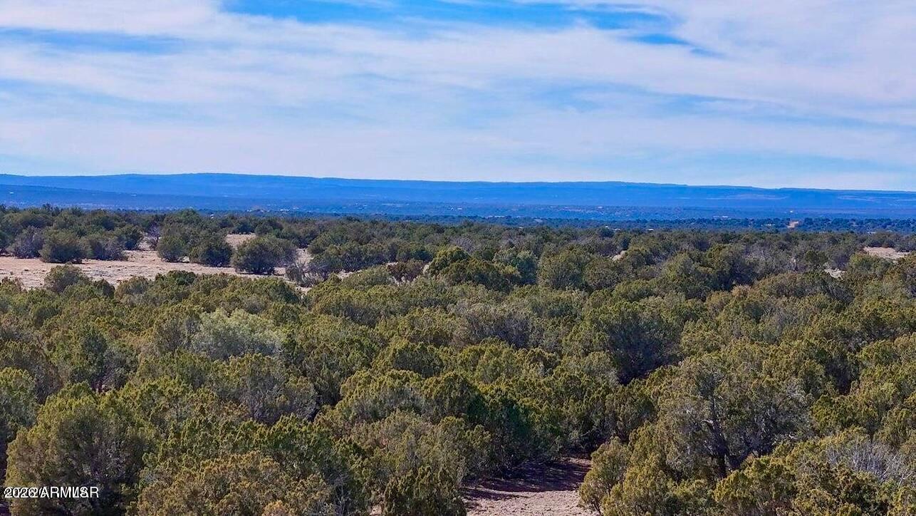 9023 Appaloosa Trl Lot D , 10 Acres -, Show Low, AZ 85901 — Photo 1 of 29