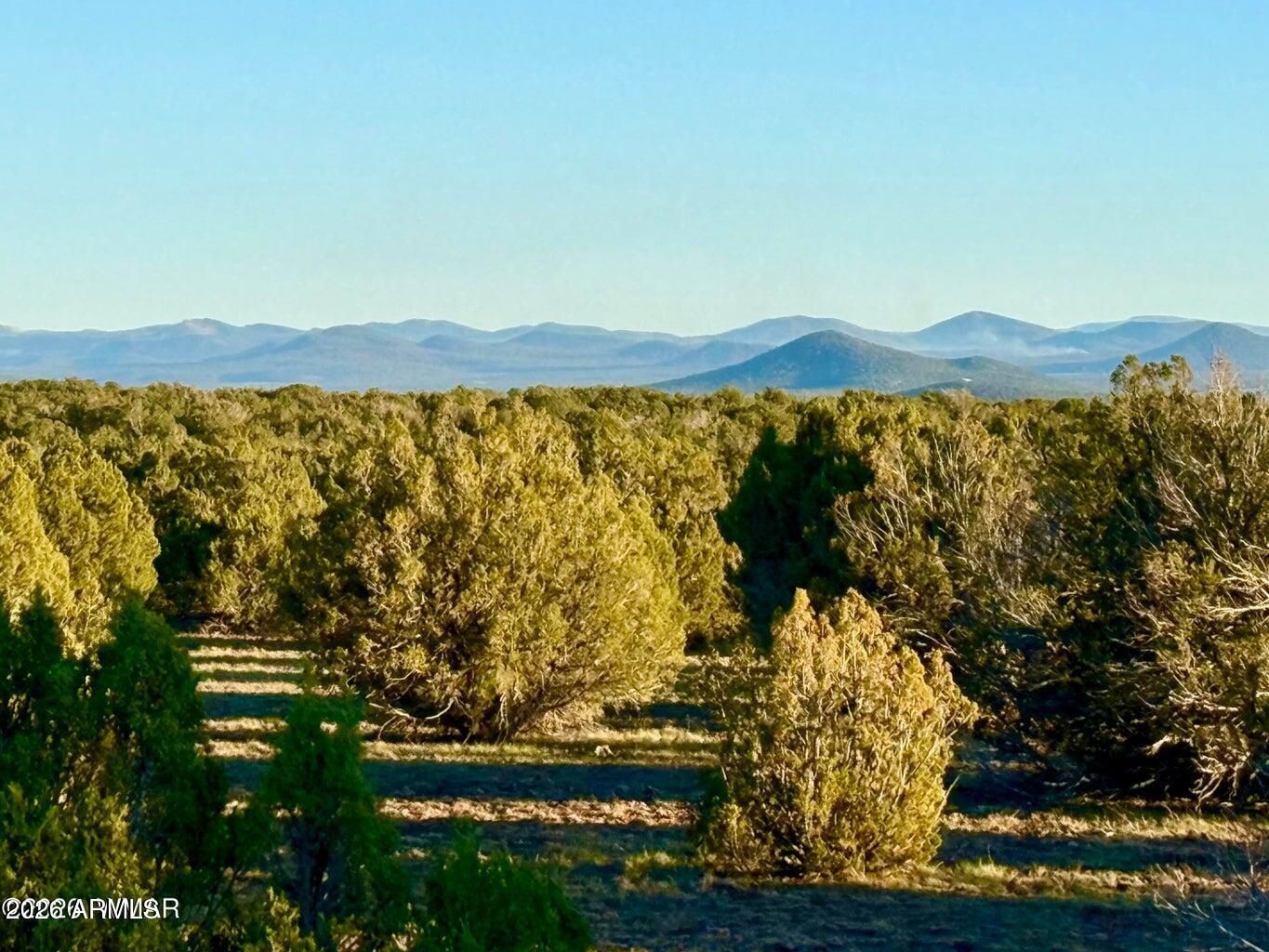 9023 Appaloosa Trl Lot E, 10 Acres -, Show Low, AZ 85901 — Photo 1 of 29