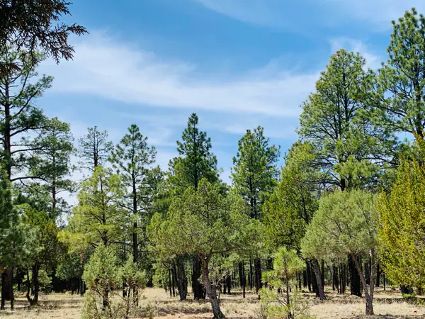 2874 Timber Ridge Circle, Happy Jack, AZ 86024