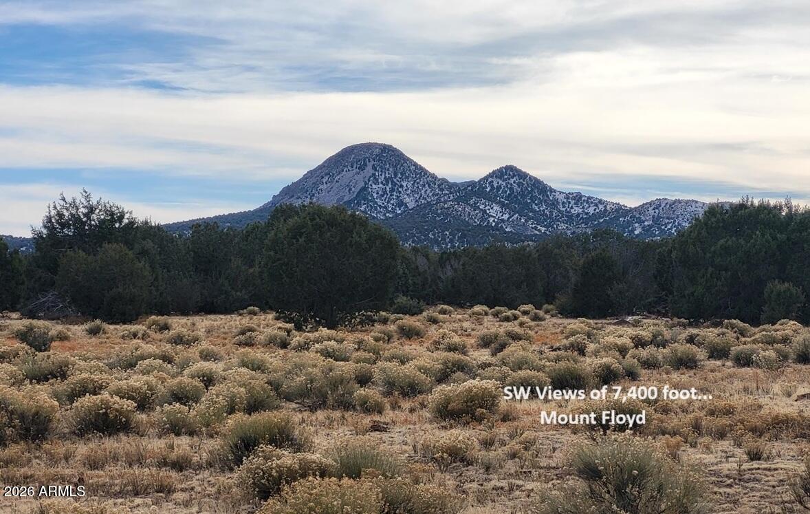 51 SW Ranch Road 51C, Williams, AZ 86046 — Photo 1 of 11