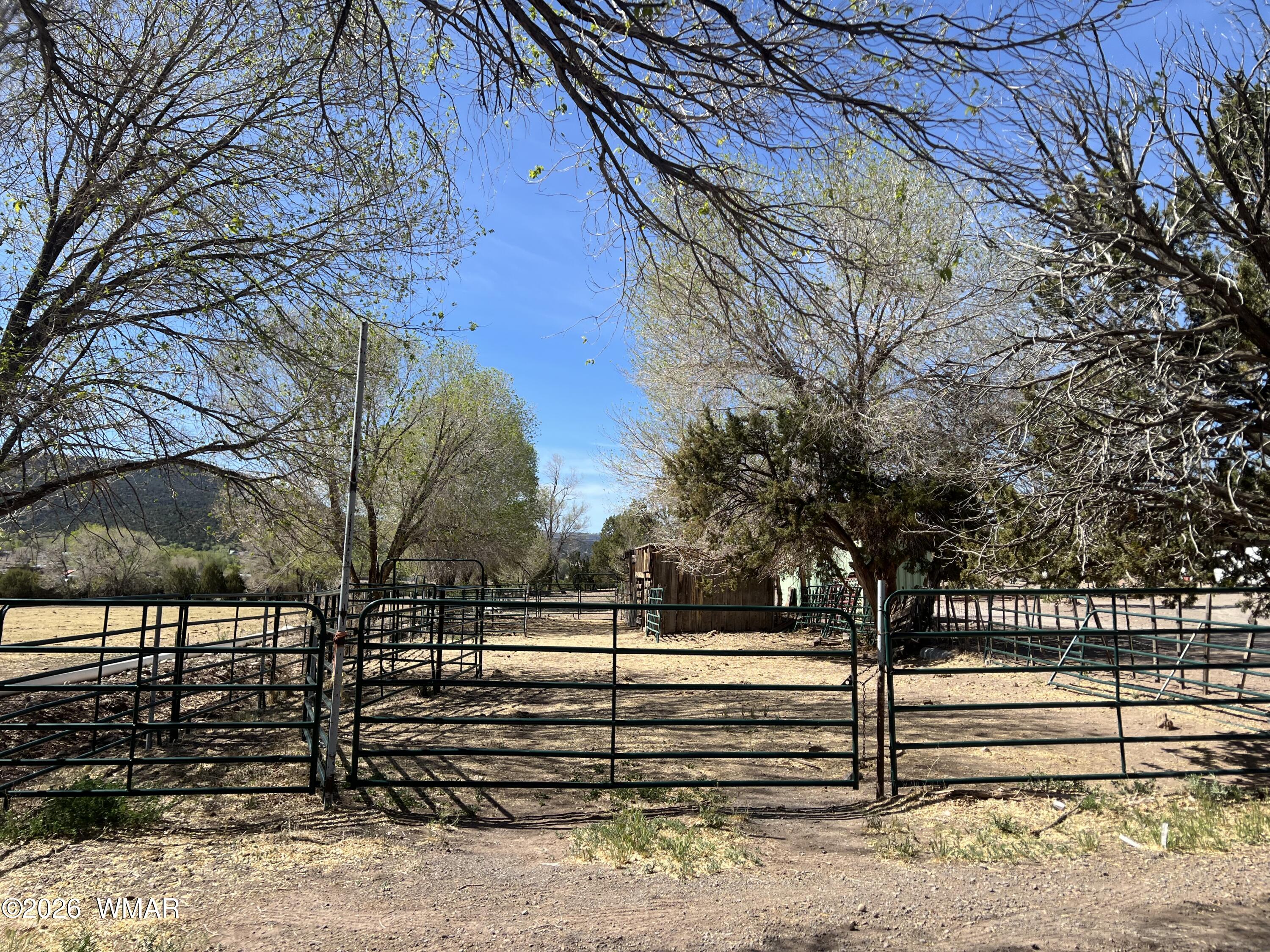 TBD S Voigt Street, Springerville, AZ 85938 — Photo 1 of 3