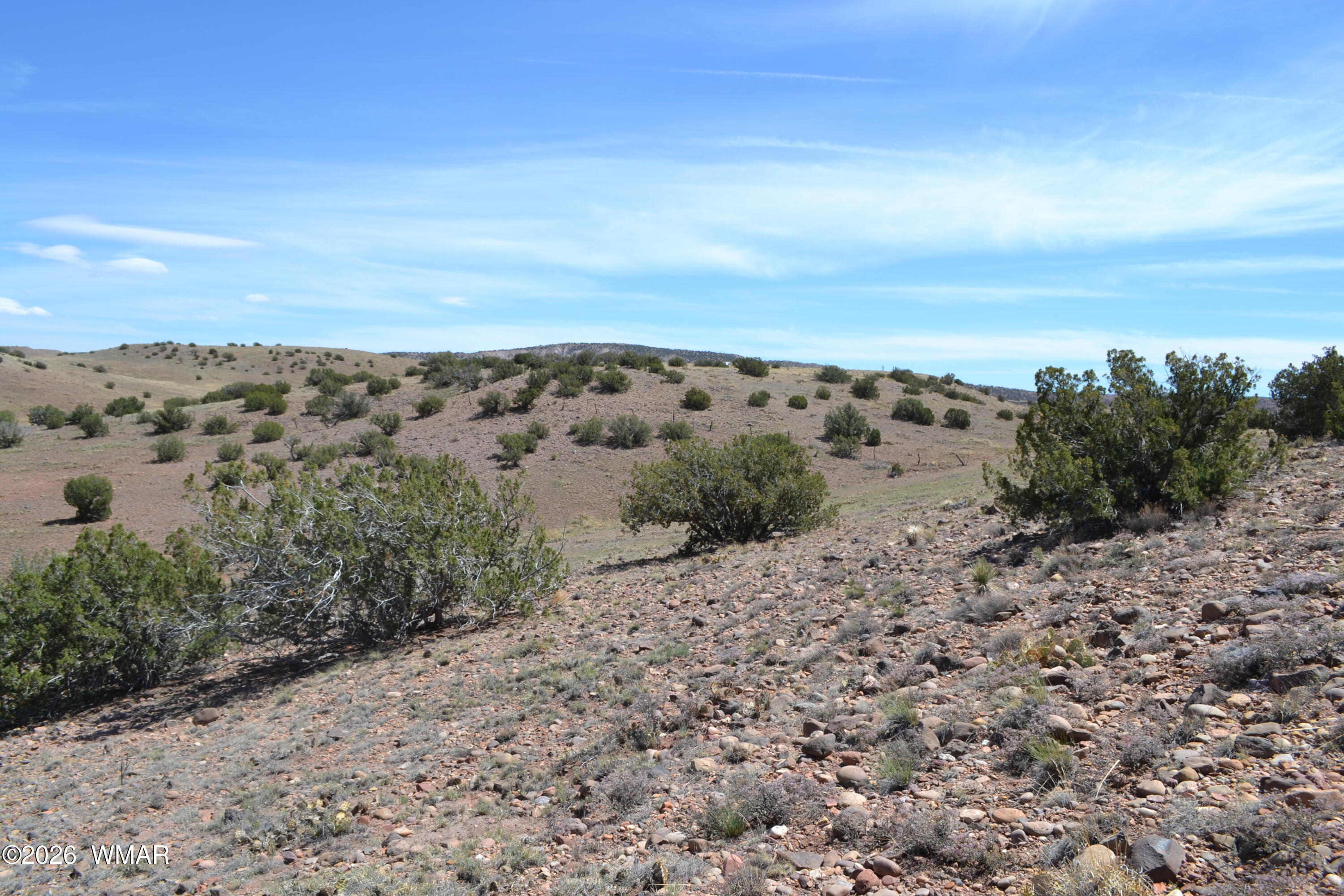 Lot 863 ACR N8497, Concho, AZ 85924