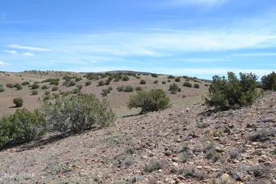 Lot 863 ACR N8497, Concho, AZ 85924