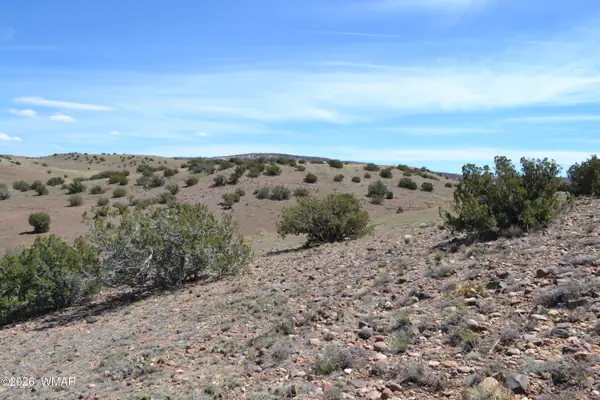 Lot 863 ACR N8497, Concho, AZ 85924