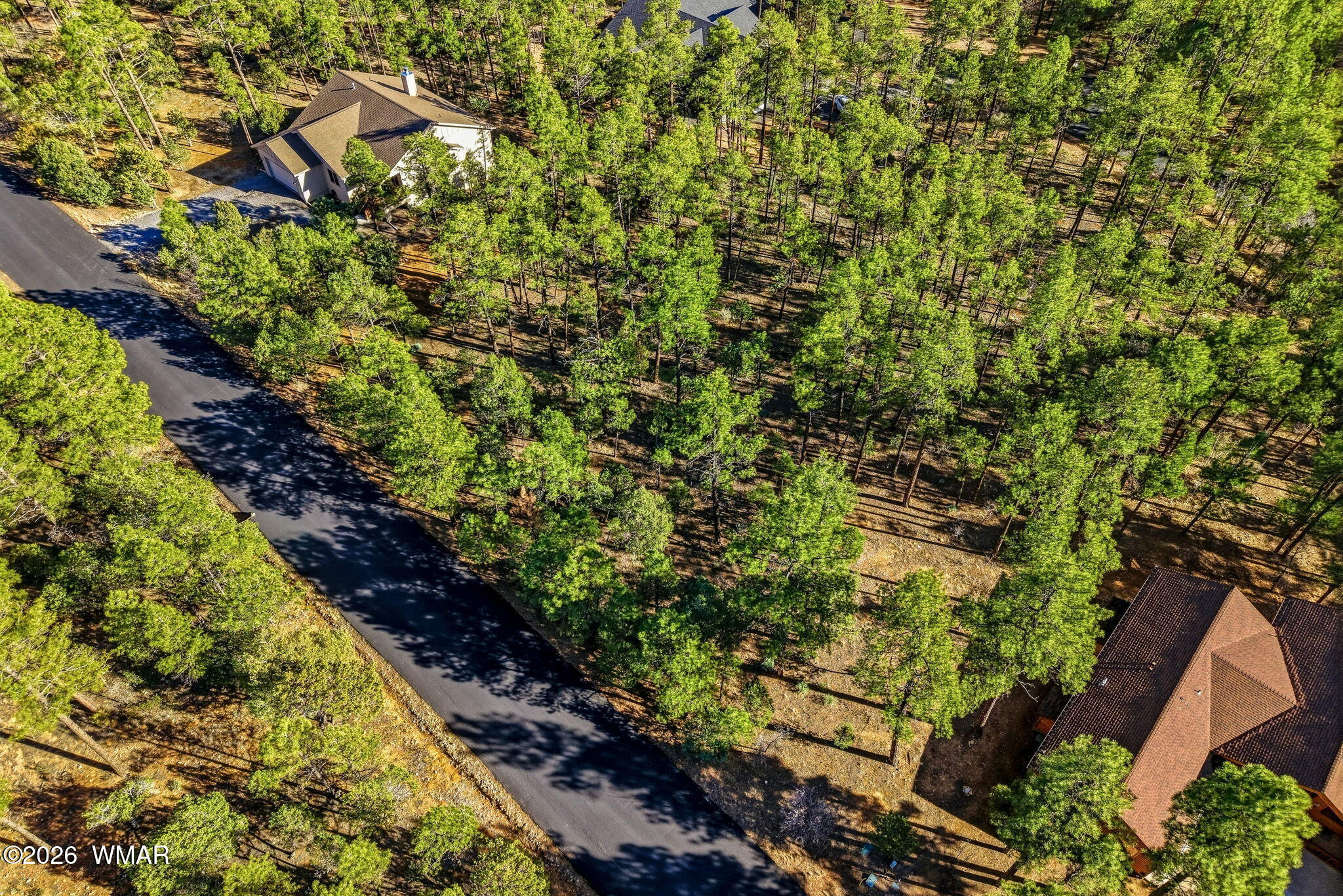 1400 E Pine Oaks Drive, Show Low, AZ 85901