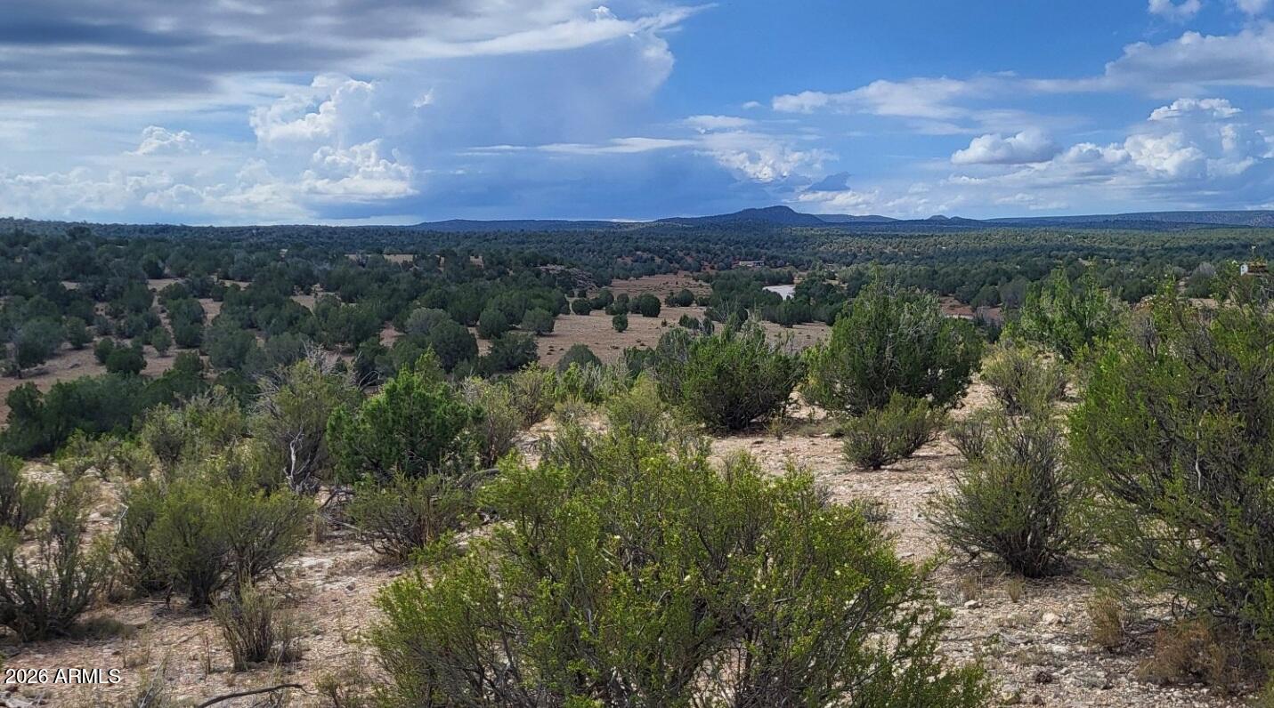 Lot 385 R-Rock & Arizona Road 385, Ash Fork, AZ 86320 — Photo 1 of 10