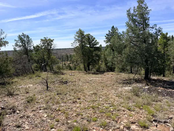 5088 Morning View Drive, Happy Jack, AZ 86024