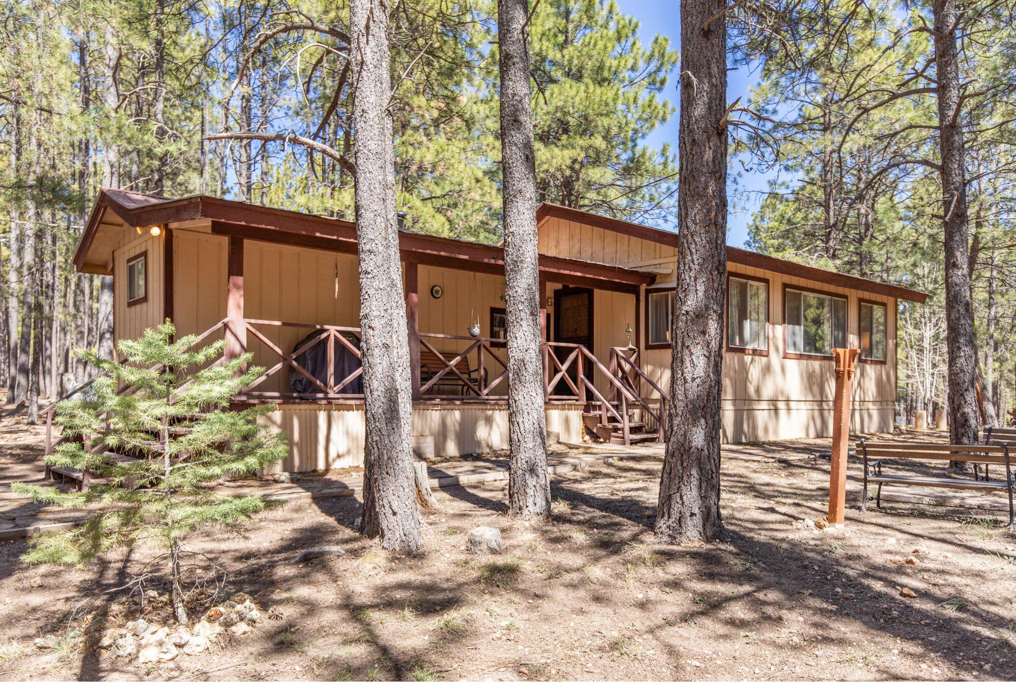 2224 Daisy Trail, Forest Lakes, AZ 85931 — Photo 1 of 19