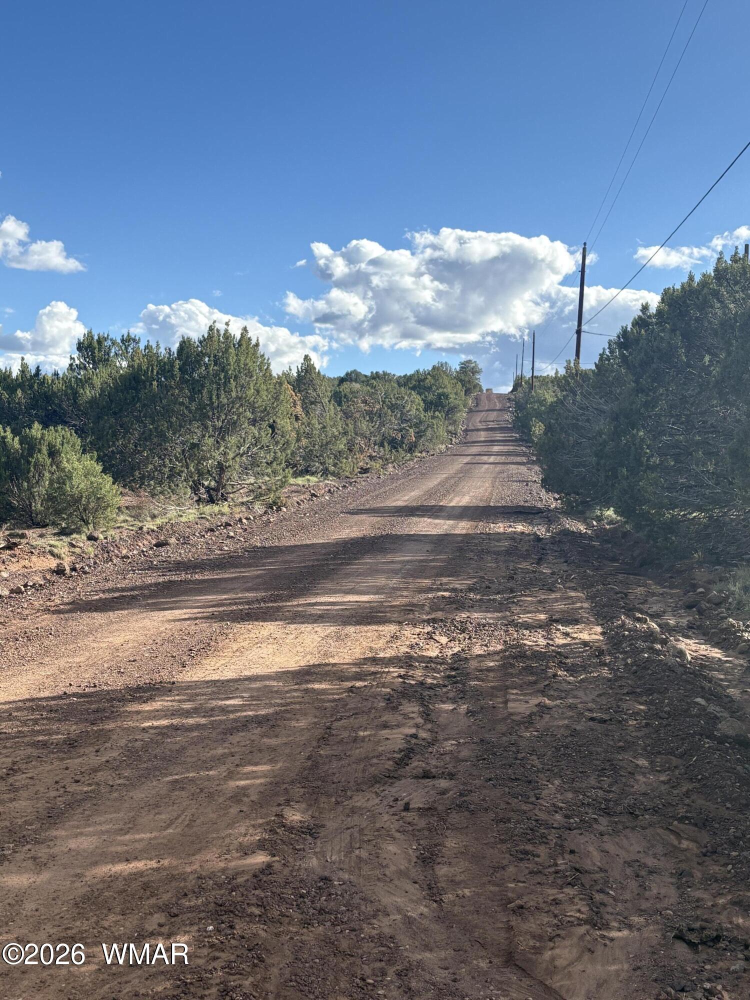 25 County Road 8238 Road, Vernon, AZ 85940