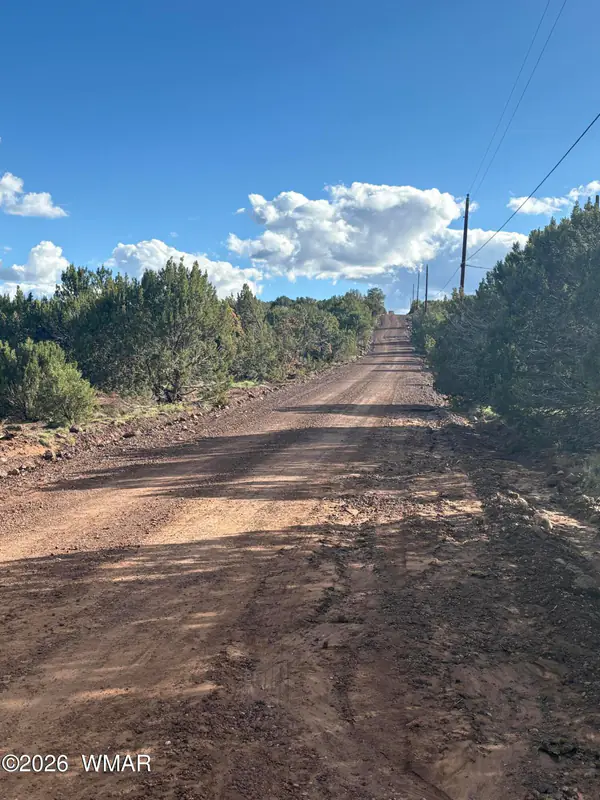 25 County Road 8238 Road, Vernon, AZ 85940