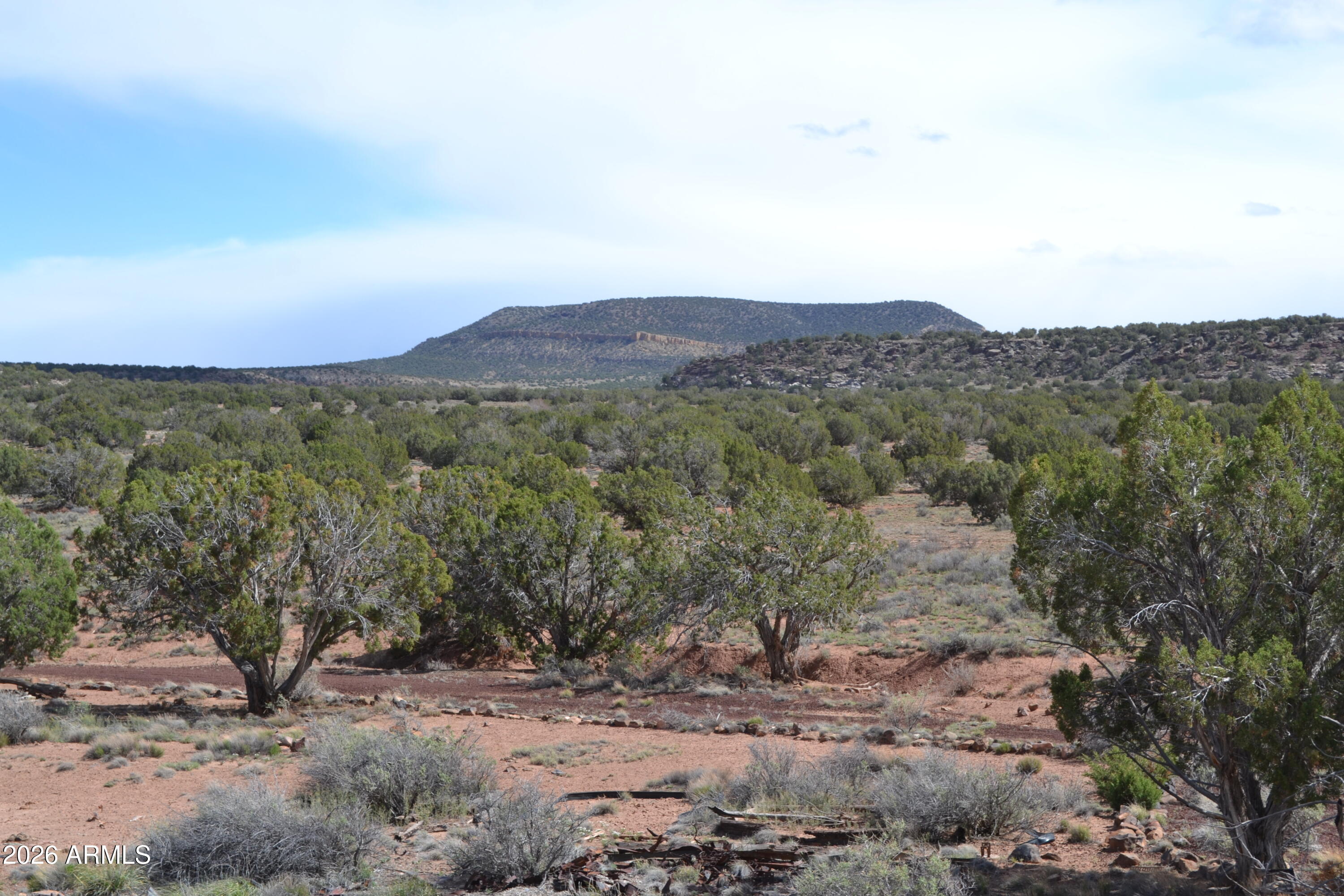 32 N8544 398, Concho, AZ 85924 — Photo 1 of 19