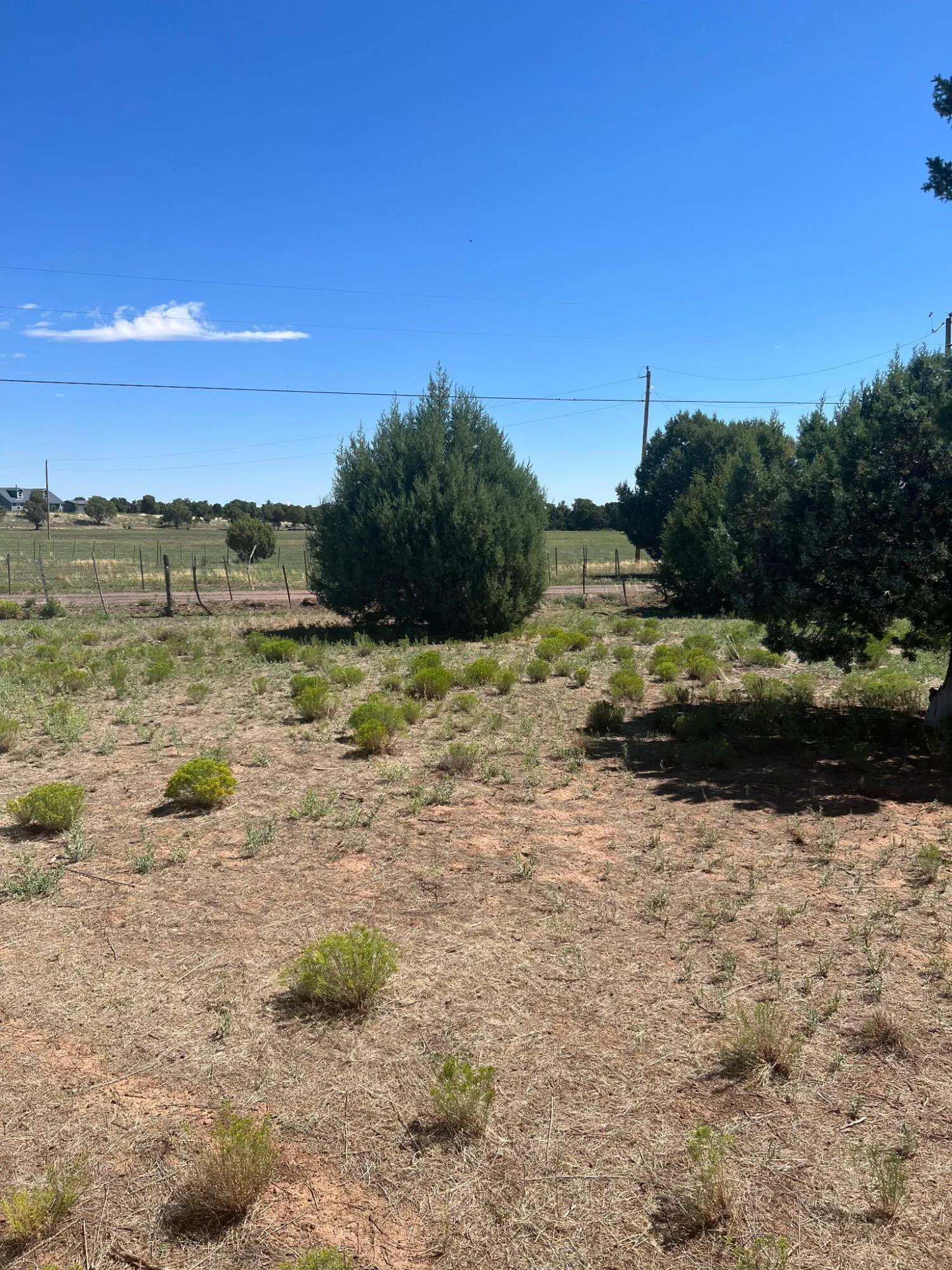 018K N Turkey Lake Road, Show Low, AZ 85901 — Photo 1 of 3