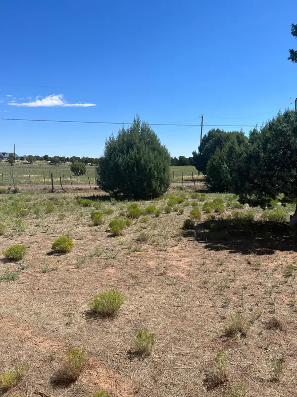 018K N Turkey Lake Road, Show Low, AZ 85901