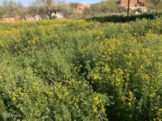 45427 N 14th Street A, New River, AZ 85087 — Photo 1 of 1