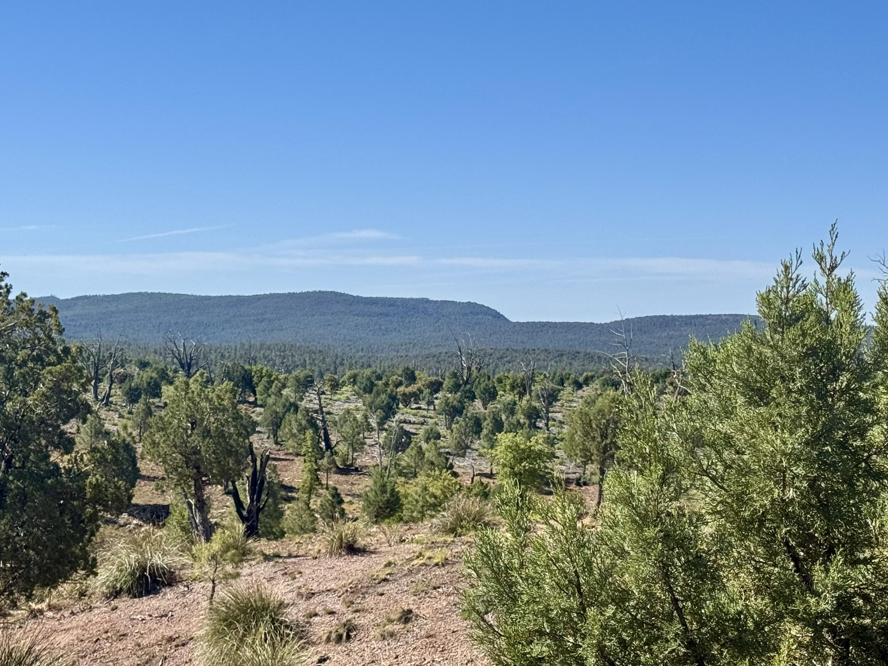 744 E Antelope Trail, Payson, AZ 85541 — Photo 1 of 6