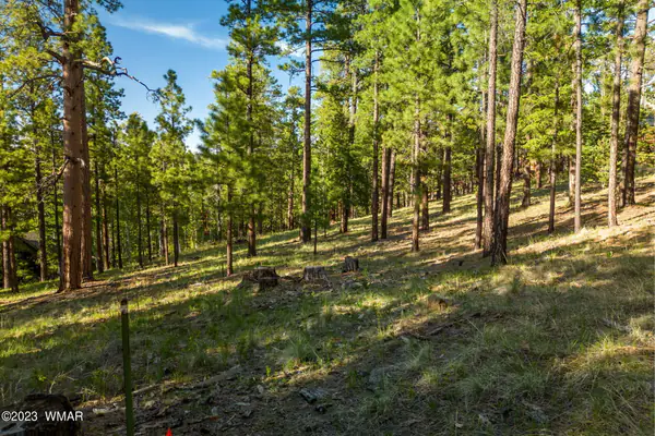 9 N1064, Greer, AZ 85927