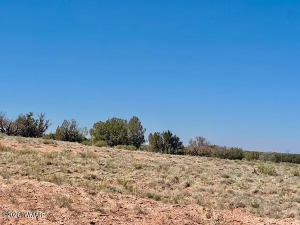 TBD Chevelon Canyon Ranch lot 363, Heber, AZ 85928