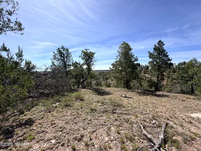 5088 Morning View Drive, Happy Jack, AZ 86024