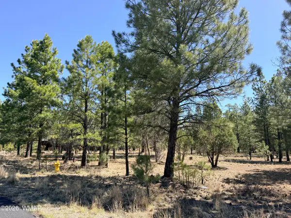 1755 Sugar Pine Drive, Happy Jack, AZ 86024