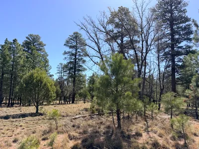 1755 Sugar Pine Drive, Happy Jack, AZ 86024