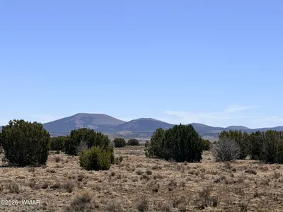 14 N3111, Parcel D, Vernon, AZ 85940