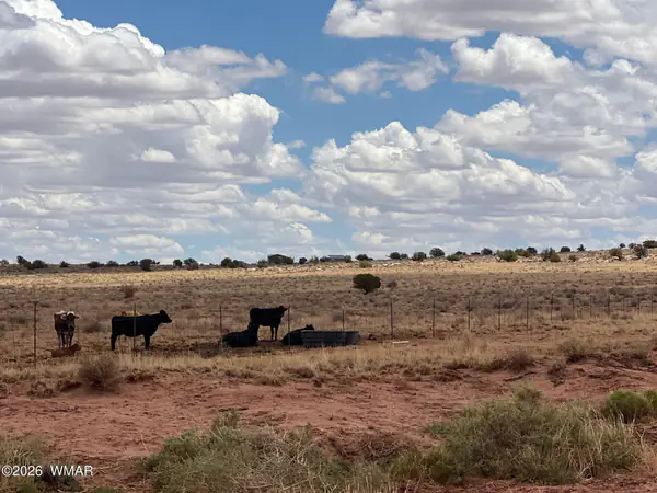 8400 8358 & 8357 Terry Trail, Snowflake, AZ 85937