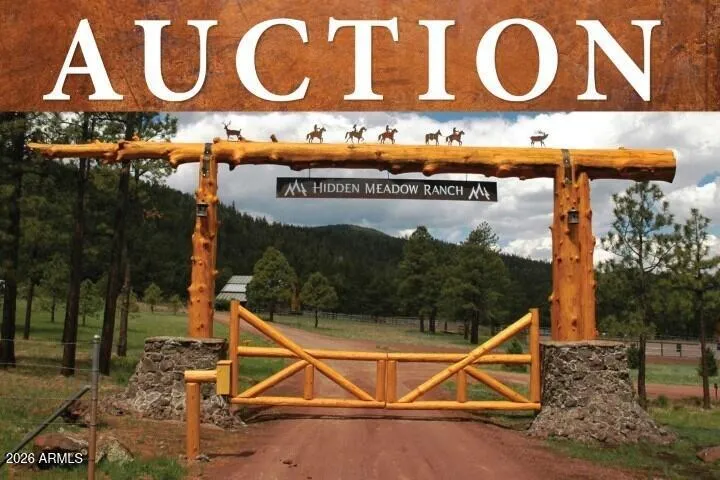7 N COUNTY ROAD N1332 46, Greer, AZ 85927 — Photo 1 of 30