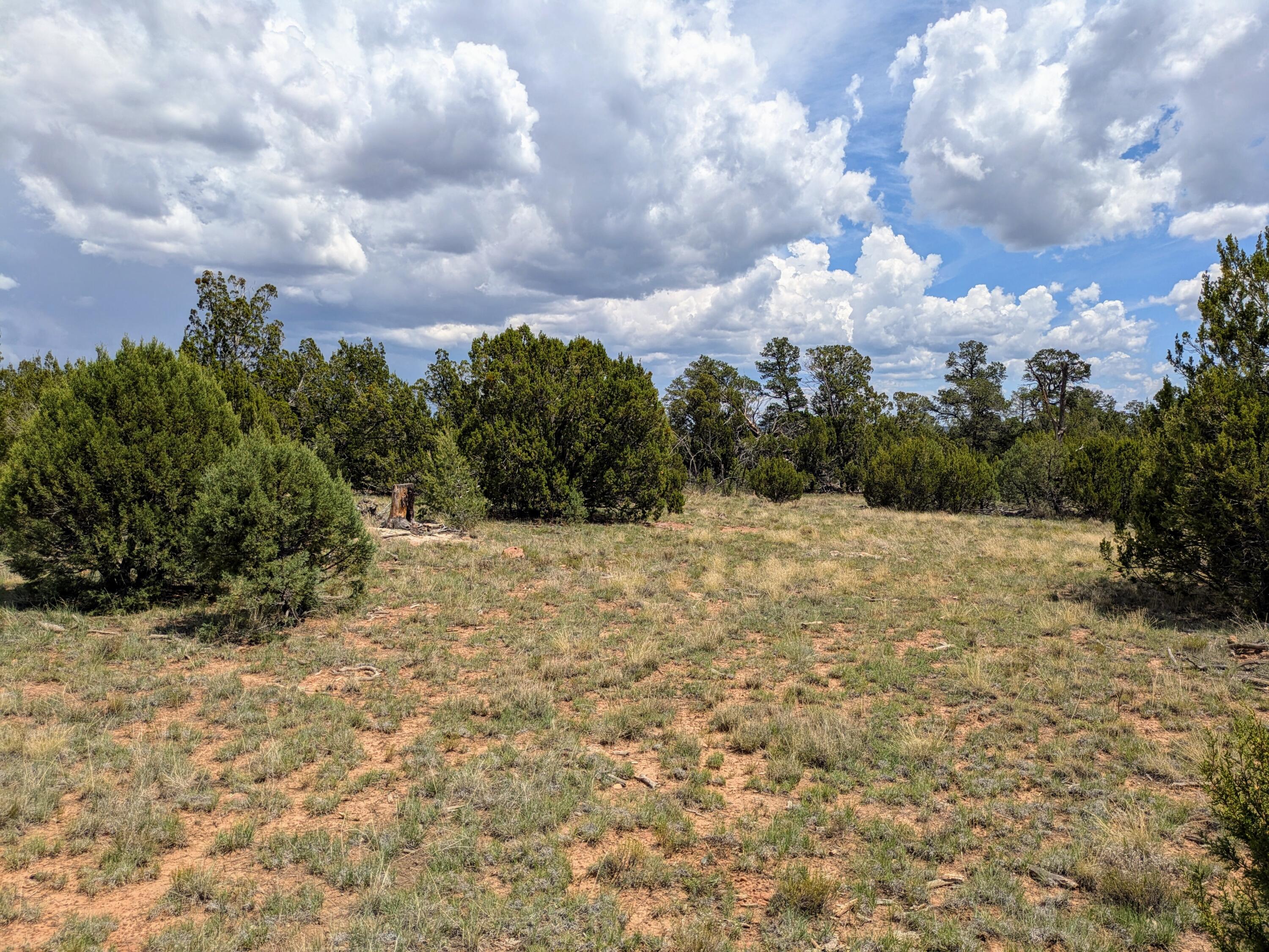 8384 HAVEN CREST Drive, Happy Jack, AZ 86024
