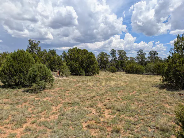 8384 HAVEN CREST Drive, Happy Jack, AZ 86024