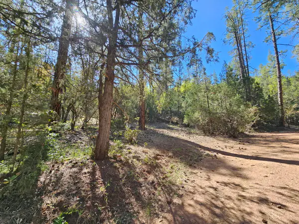 3054 Neal Drive, Payson, AZ 85541