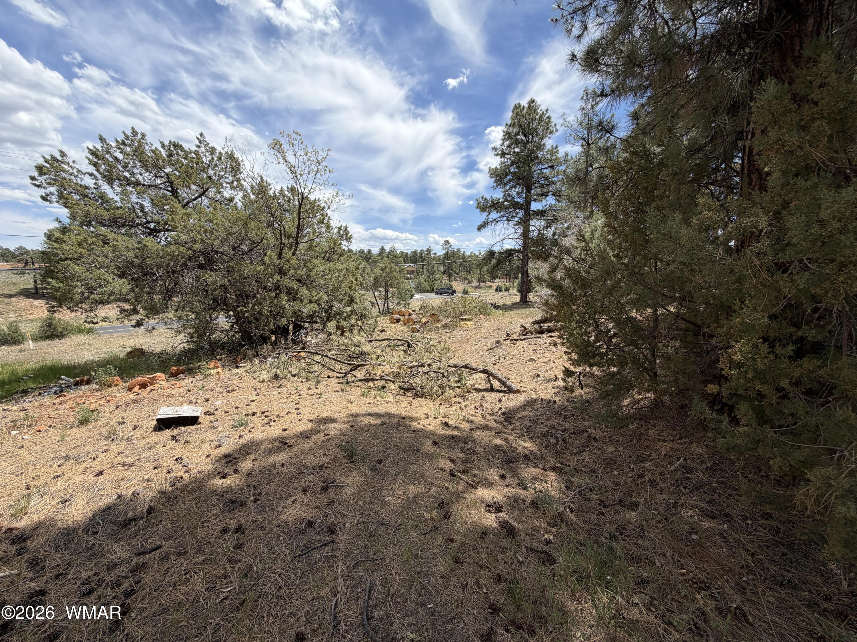 11 W Oliver, Show Low, AZ 85901