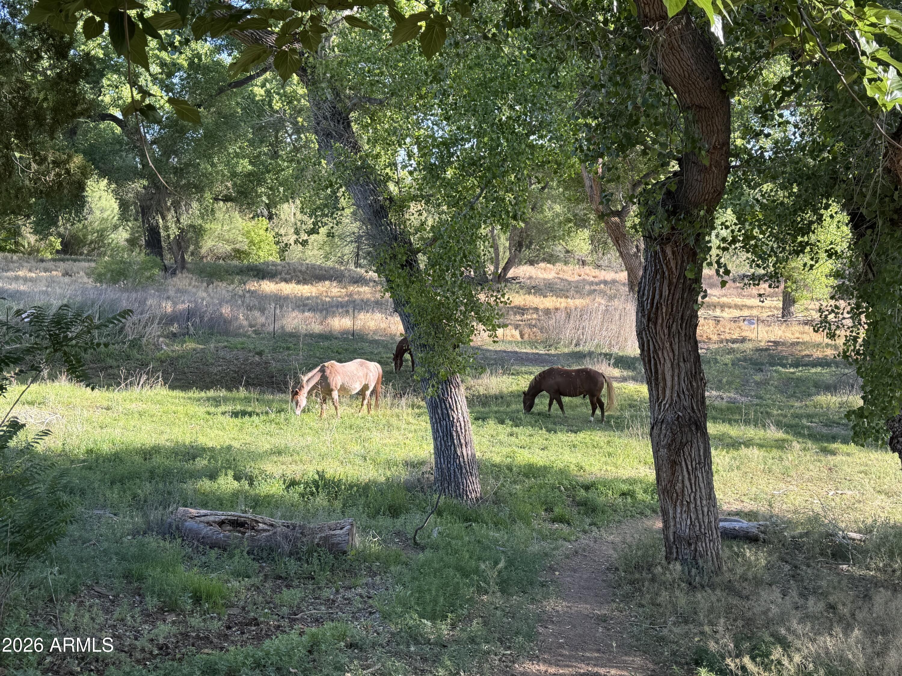 1226 W PETERSON Road, Camp Verde, AZ 86322 — Photo 1 of 46