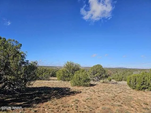 1725 McAllister Avenue, Heber, AZ 85928 — Photo 1 of 4