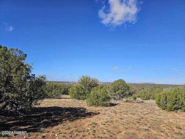 1725 Mcallister Avenue ' - ', Heber, AZ 85928 — Photo 1 of 4