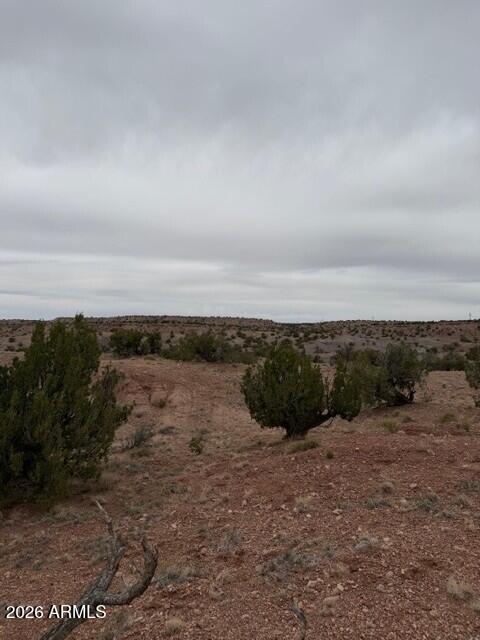 N6124 N N6124 202-44-022, St Johns, AZ 85936 — Photo 1 of 4