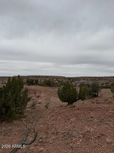 N6124 N N6124 202-44-022, St Johns, AZ 85936
