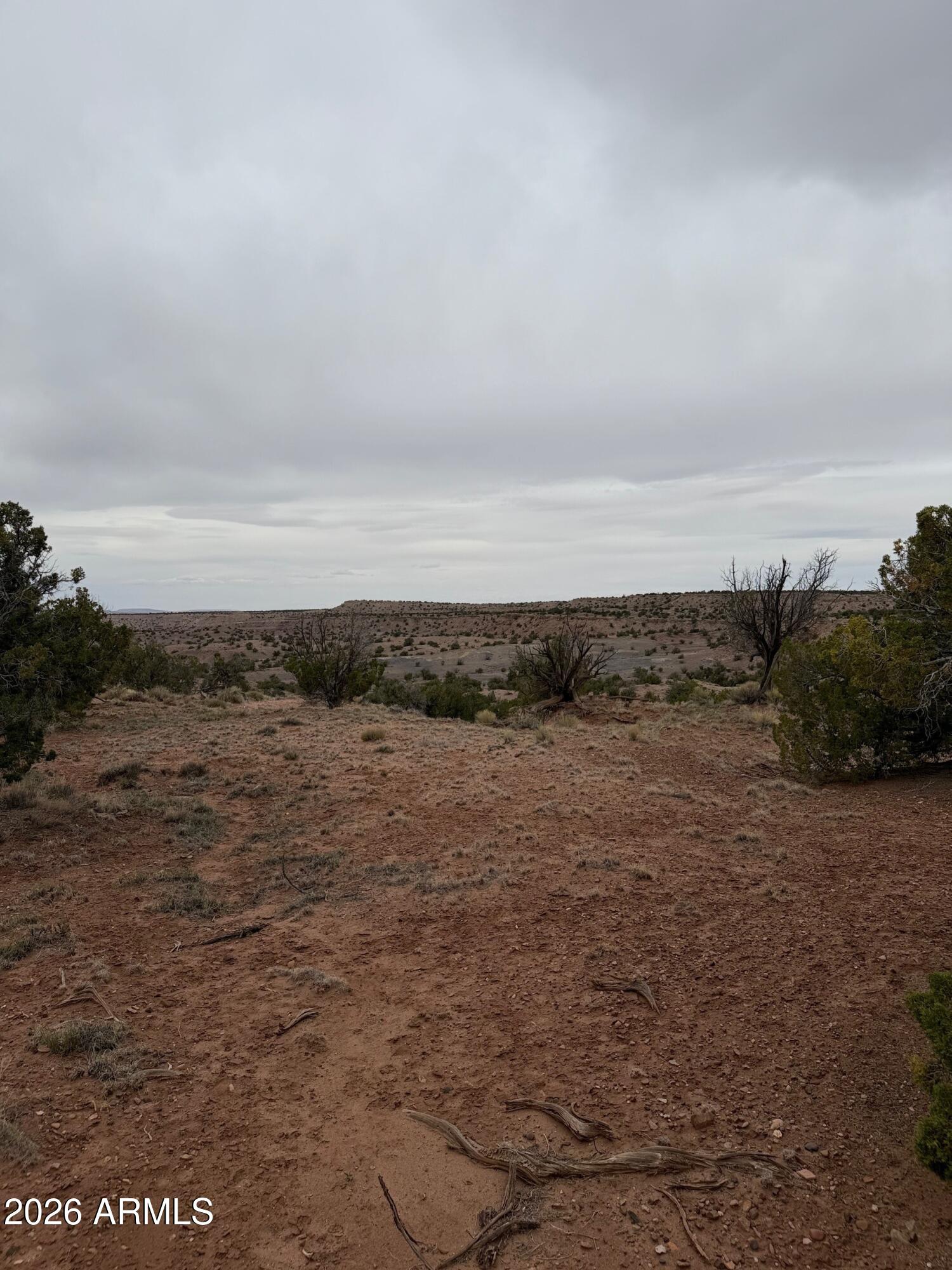 N6124 N N6124 20245008, St Johns, AZ 85936 — Photo 1 of 6