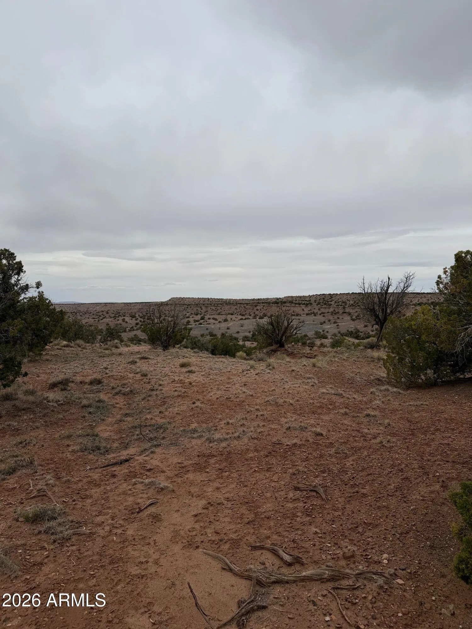 N6124 N N6124 20245008, St Johns, AZ 85936 — Photo 1 of 6