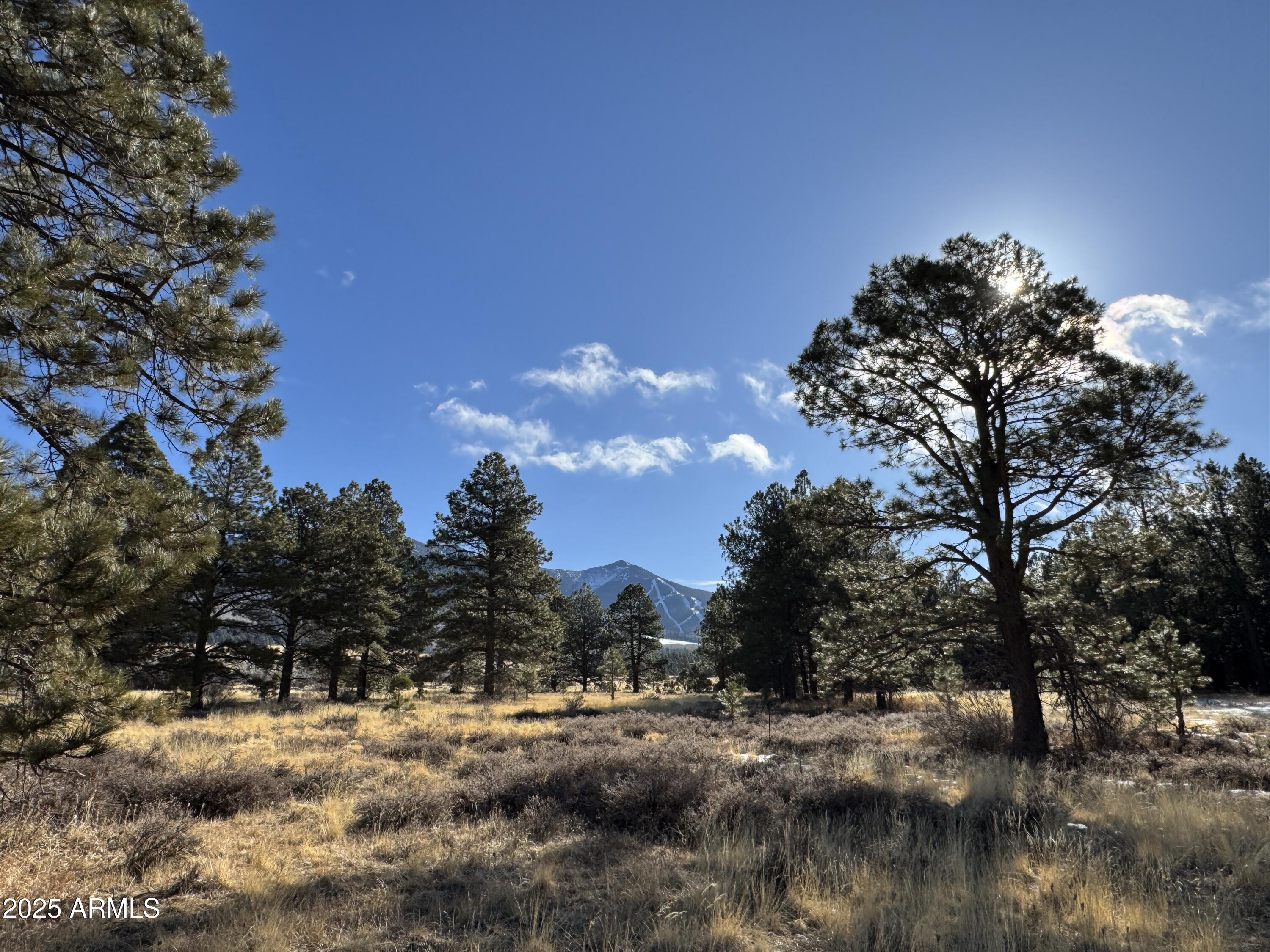 003 Hart Prairie Rd -, Flagstaff, AZ 86001 — Photo 1 of 17