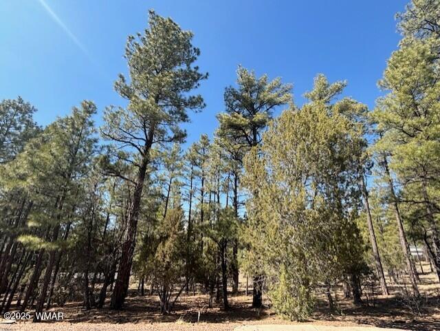 4790 W Hawthorn Road, Lot 53, Show Low, AZ 85901 — Photo 1 of 6