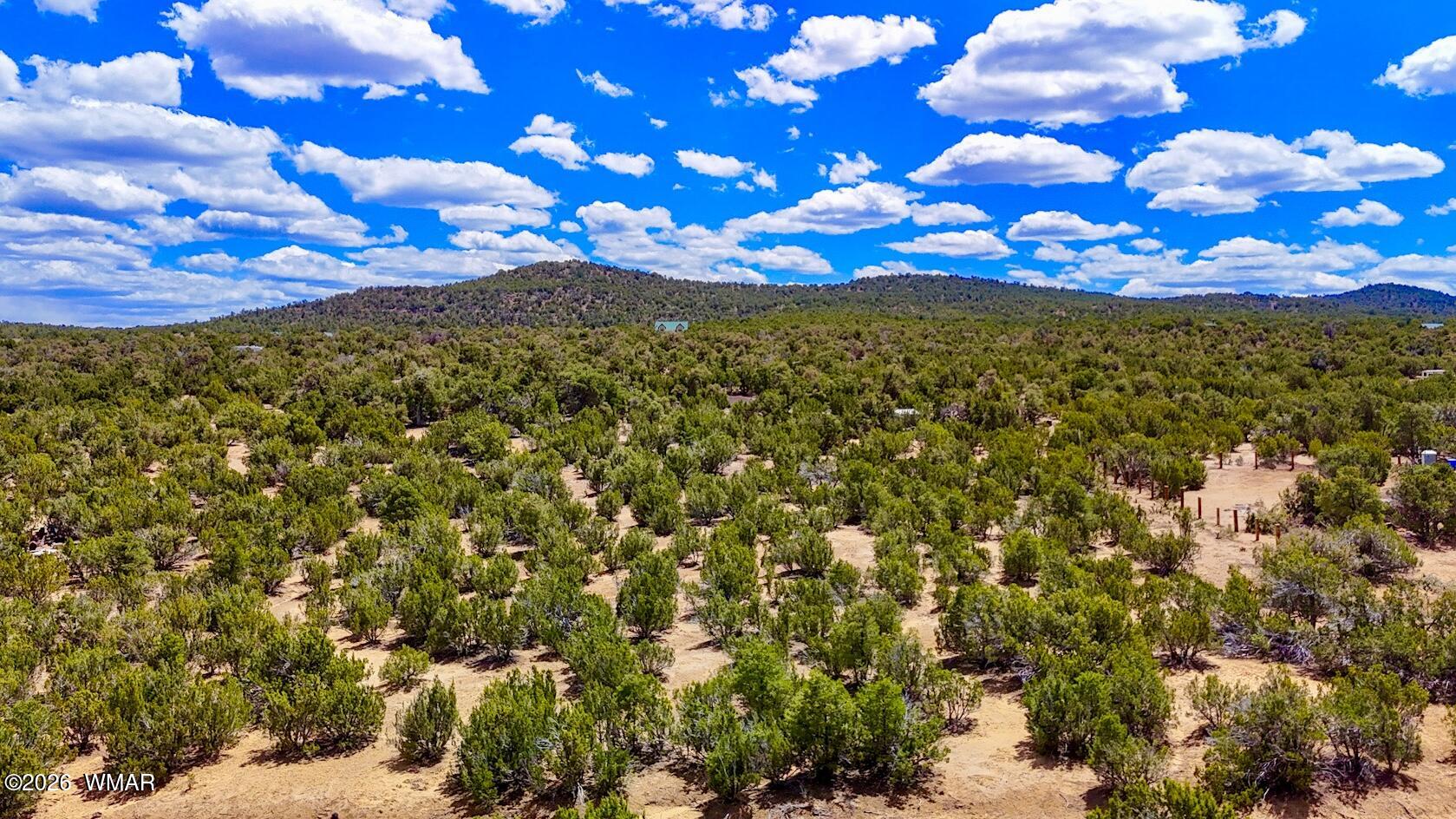 15 County Road, Vernon, AZ 85940 — Photo 1 of 8