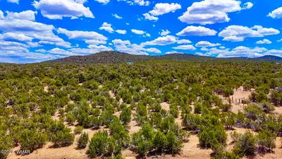 15 County Road, Vernon, AZ 85940
