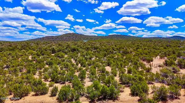 15 County Road, Vernon, AZ 85940
