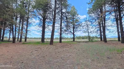 Thumbnail 15