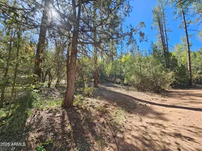 3054 Neal Drive, Payson, AZ 85541