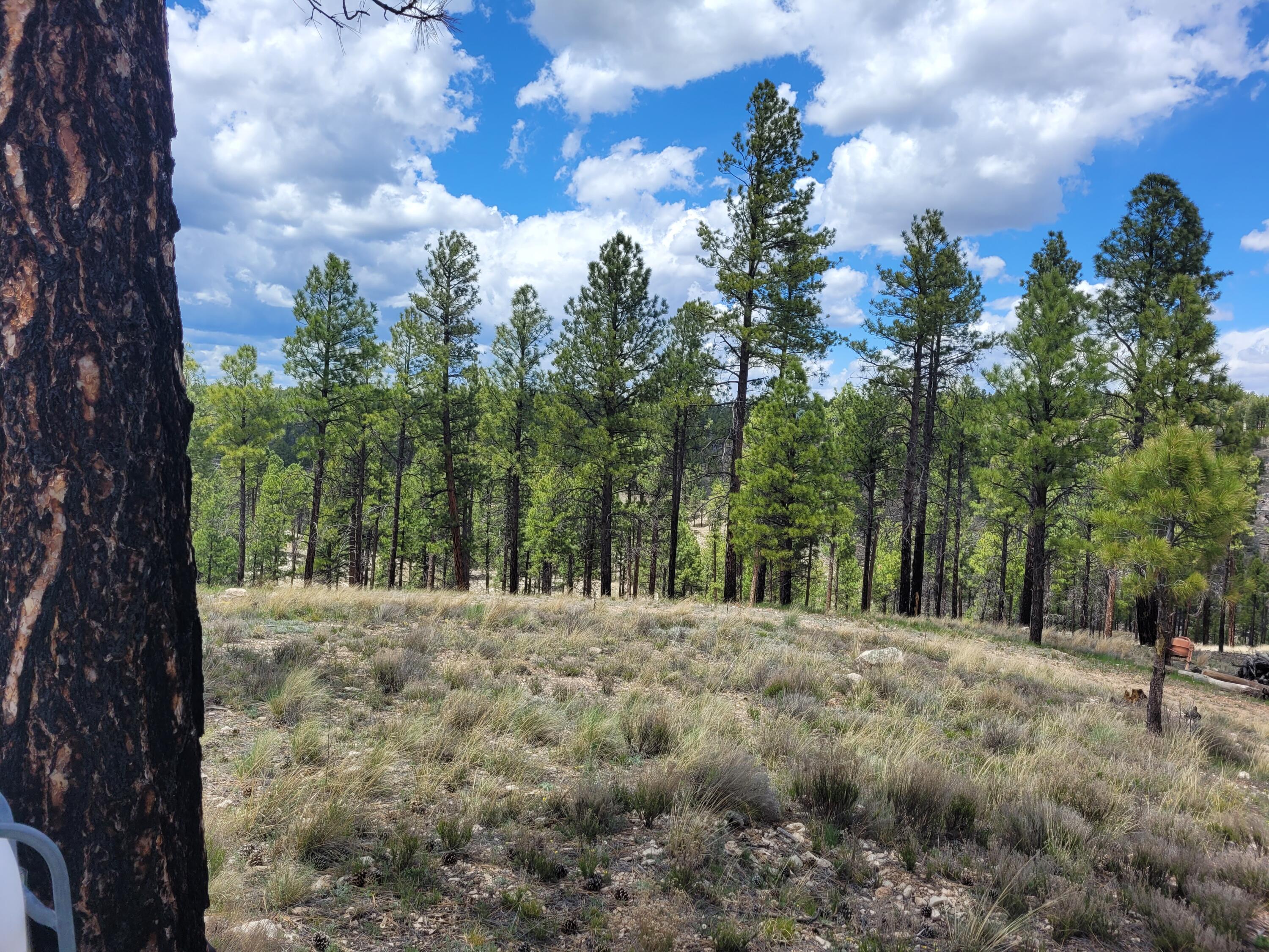 525 Moqui Drive, Happy Jack, AZ 86024