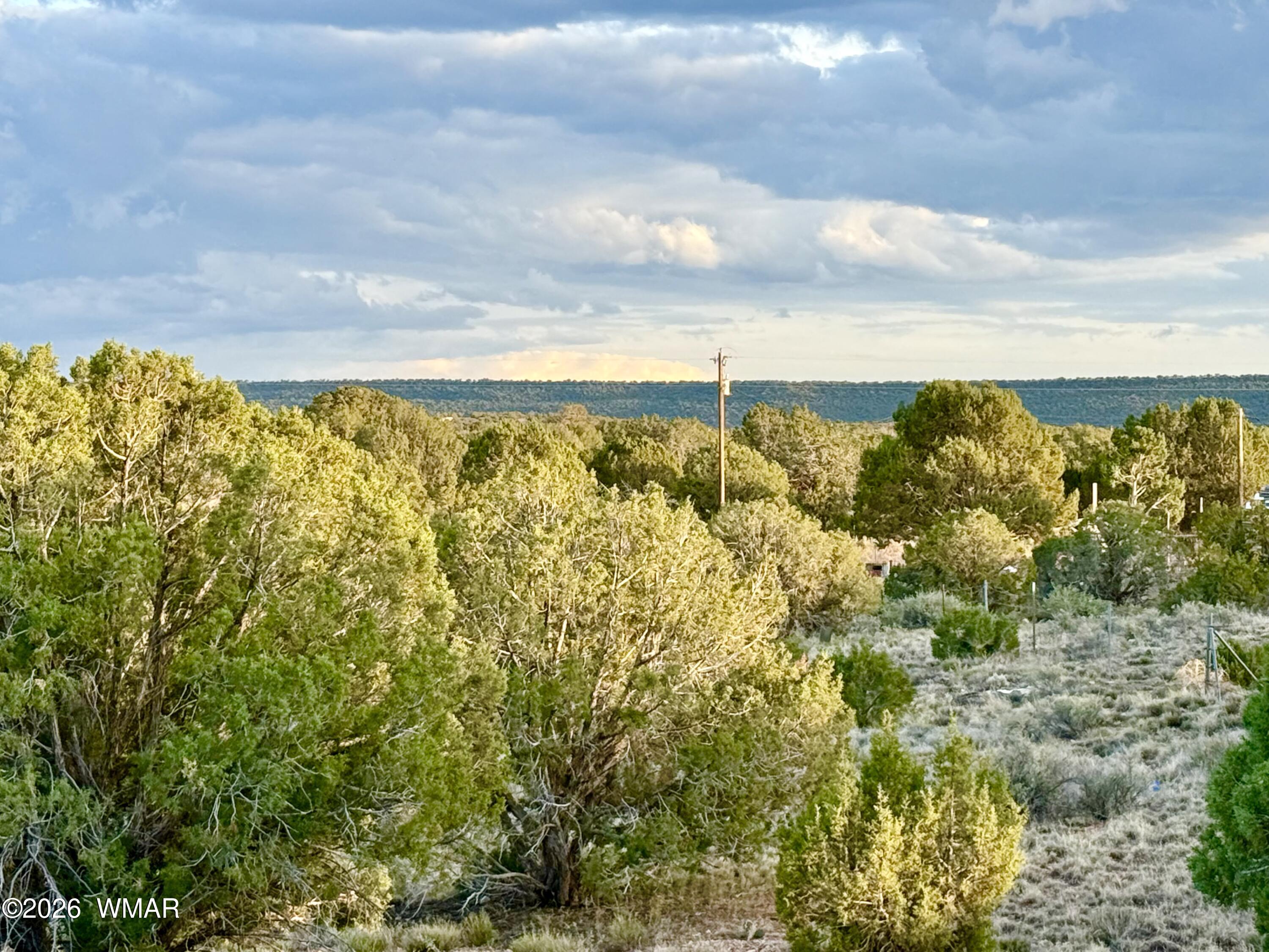 4428 Colt Road, Snowflake, AZ 85937 — Photo 1 of 22