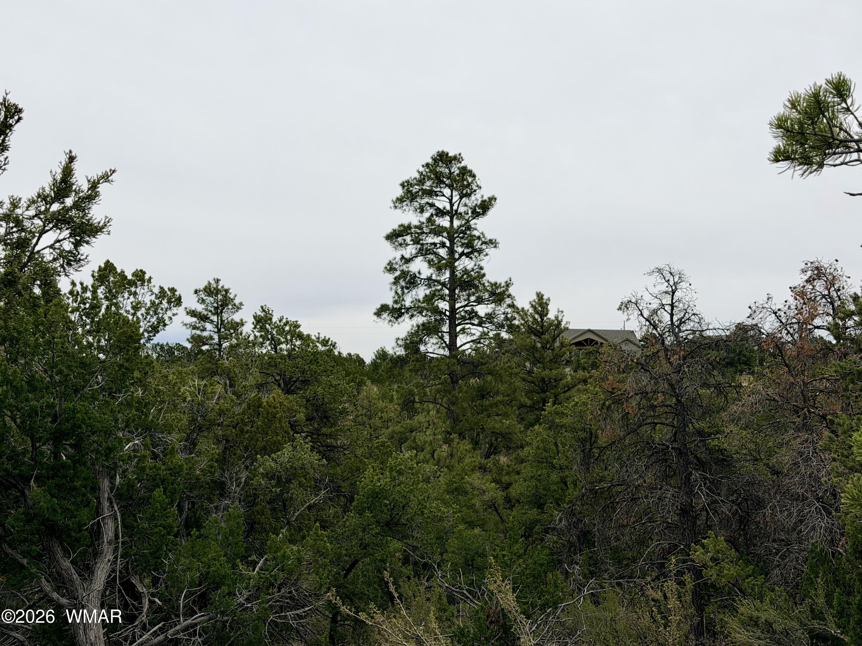 4918 Sunset Ridge Loop, Happy Jack, AZ 86024 — Photo 1 of 32