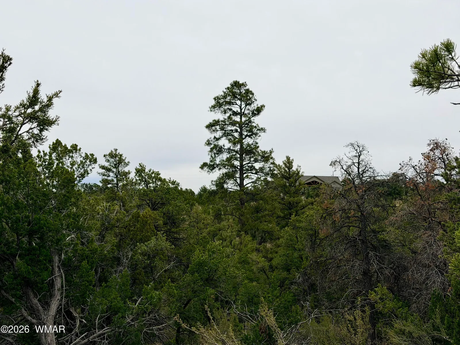 4918 Sunset Ridge Loop, Happy Jack, AZ 86024 — Photo 1 of 32